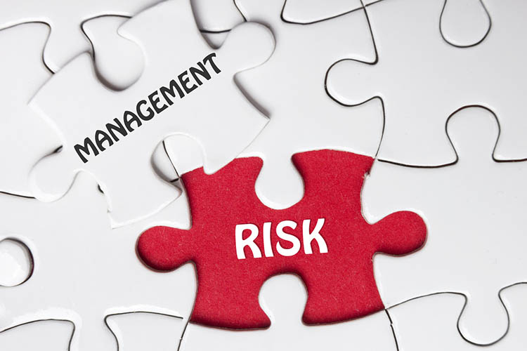 risk management